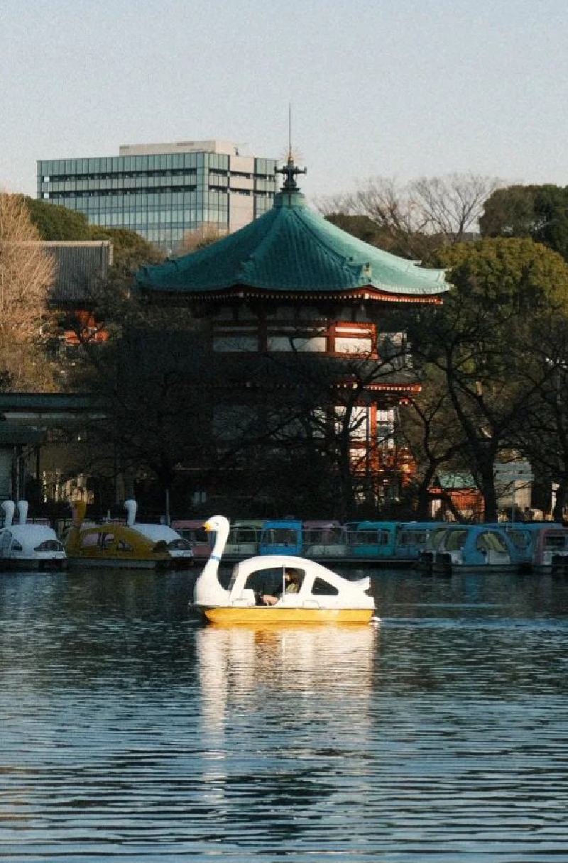 A swan-shaped pedalboat with a Japanese pagoda towering above it. Past the pagoda there is a park and an office building. A line down the middle of the picture is formed by the pagoda, the swan boat and its reflection